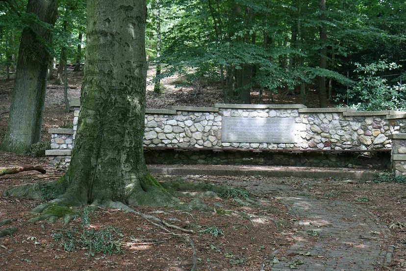 wey7jqwsjmiux89ul8g4ee6st gety1