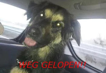 wgiy16qekge6tb99ugw7cxv64 199376