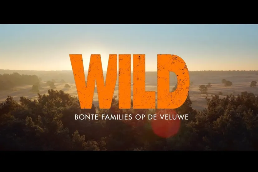 wild trailer youtube