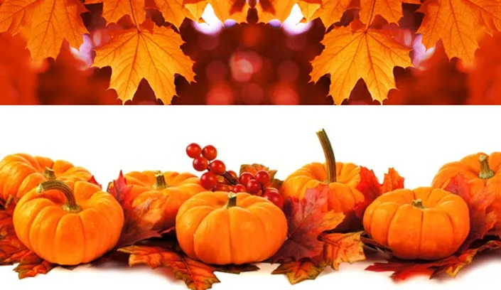 wildweekend de peerdestal