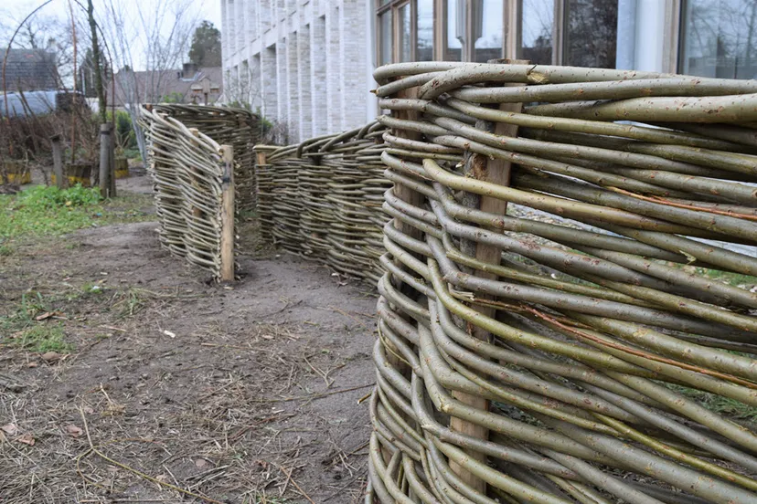 wilgentenenhek fotograaf marjanne eikelboom