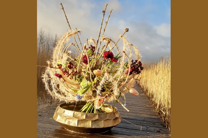 winnende frameboeket van nienke van beijnum