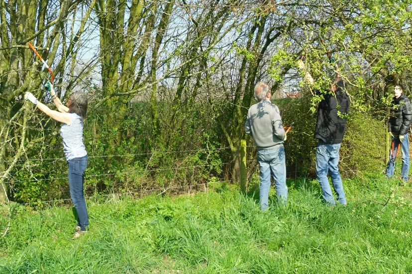 wjrh8z9v4oi158gv6qns0pldw sam2775