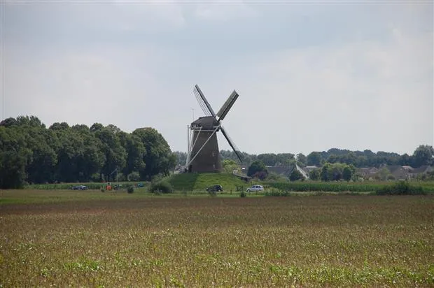 wlh02czp062v7j2zvrqqsd5ne rhedense fietsvierdaagse 17aug2013 copyright pdwaardrhedennieuw
