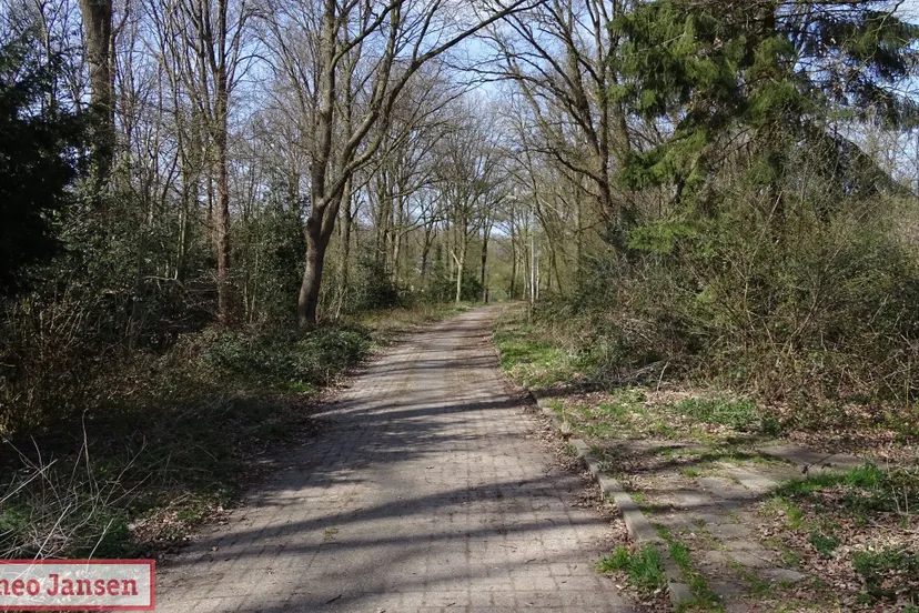 woningbouw imboslaan dieren lijkt mogelijk0