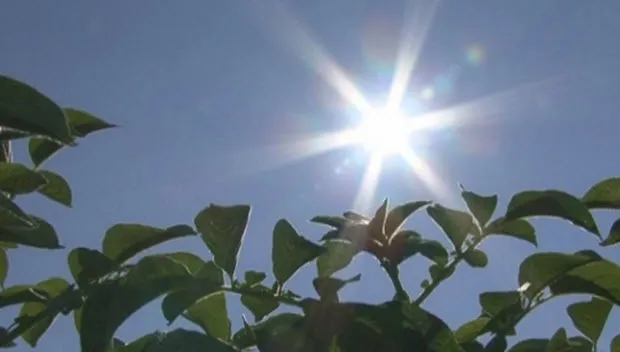 wshjjhbz6hd3xpwmjflf3tg50 zon