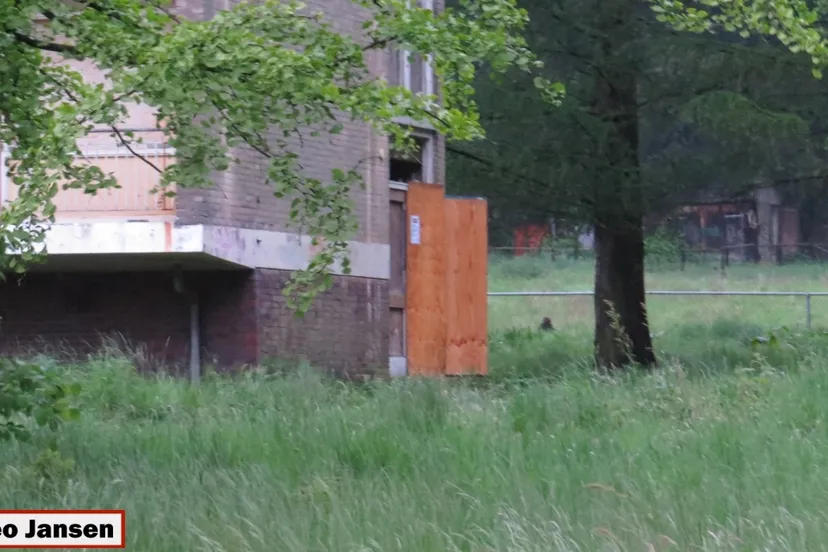 x1ilxvjc3d2hiflo3mvsu4xxl 2014 05 09 rhederhof rheden 002