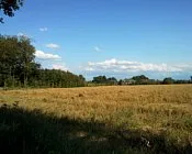 xiafayuz8a0tertjpn86moyw0 146737