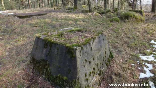 xicvplglr4f50n5676c2zsr23 teerosen