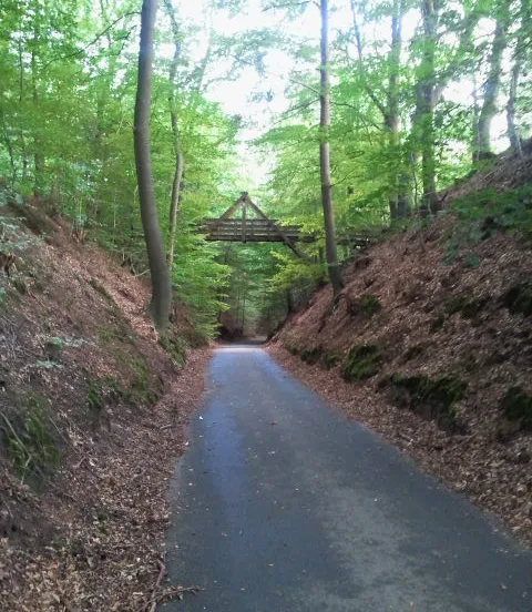 y9x5qrm2i4qwscecnvrzt2yzy 83172