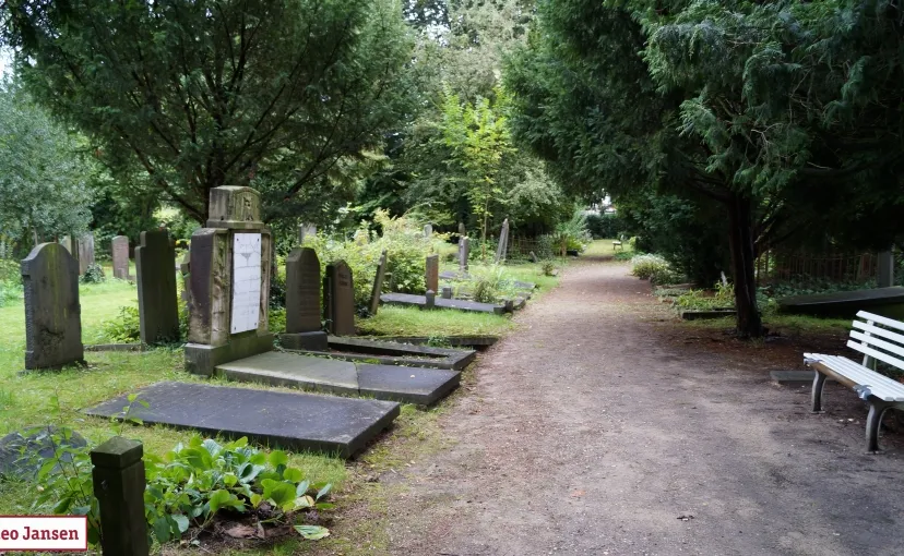 ycq1e1ngeqls77xfrh8j305kz reinaldstraat 020