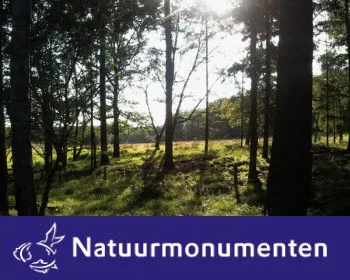 yg3y6f6rdsi6msu19a7wlfwkm 158032