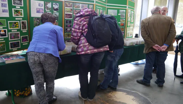 zadenverkoop ivntuin