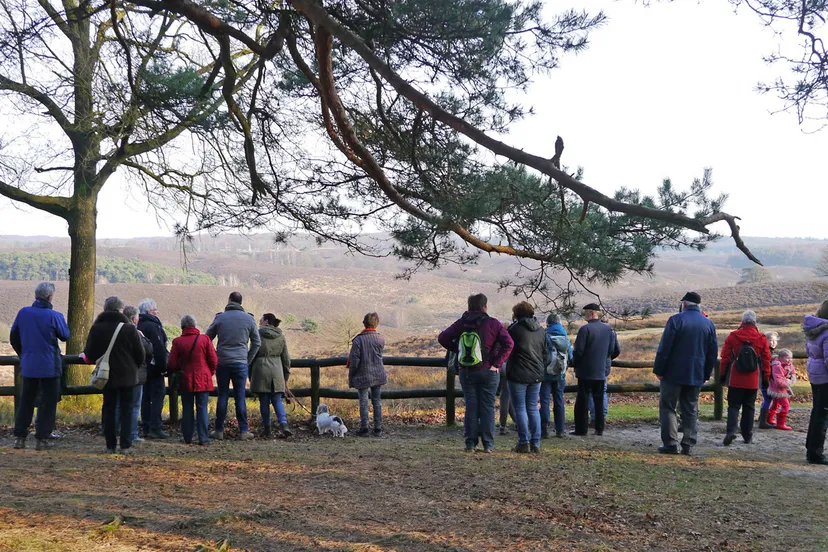 zijpenberg jannie de jong