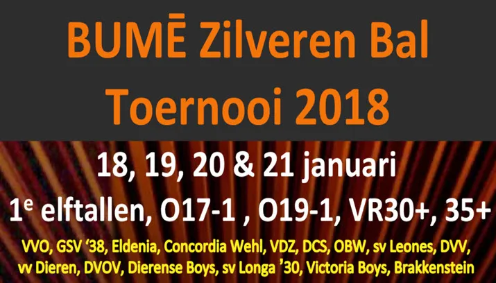 zilveren bal1