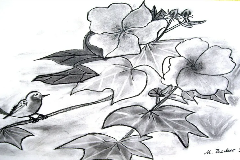 zomercursus cultuurbedrijf riqq