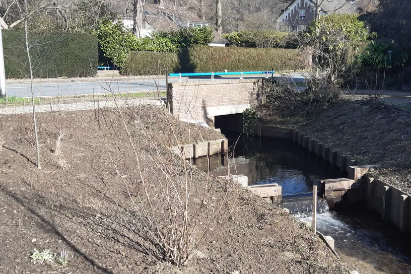 zonnige foto zandvang