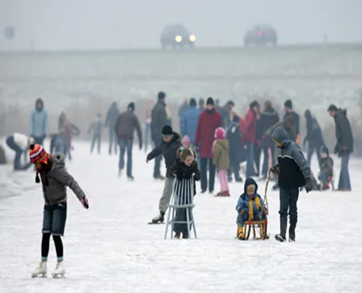 zvspetz4fekw9hx13m67pil9y 117203