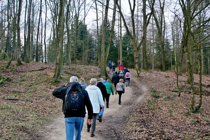 zwarte bulten rozendaalse bos ivn oost veluwezoom