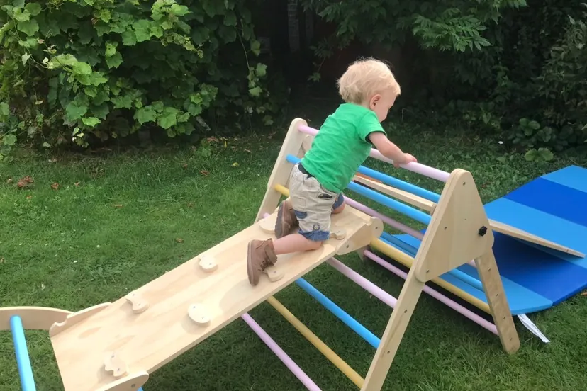 56822736 8806 48bf 8a49 4629123b6d6c 1