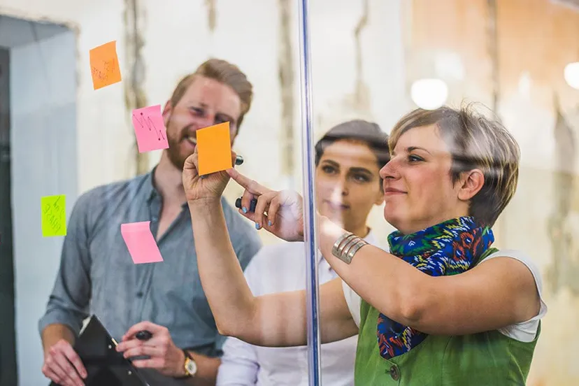 cursus projectontwikkeling en fondsenwerving zoomerij dieren