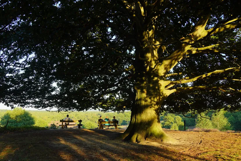 ivn wandeling natuurlijk welbevinden ivn oost veluwezoom