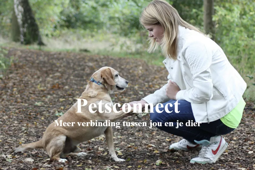 petsconnect ancilla van oirsouw