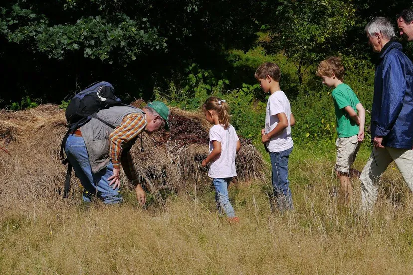 ringslangenexcursie stichting broedplaats beekhuizen