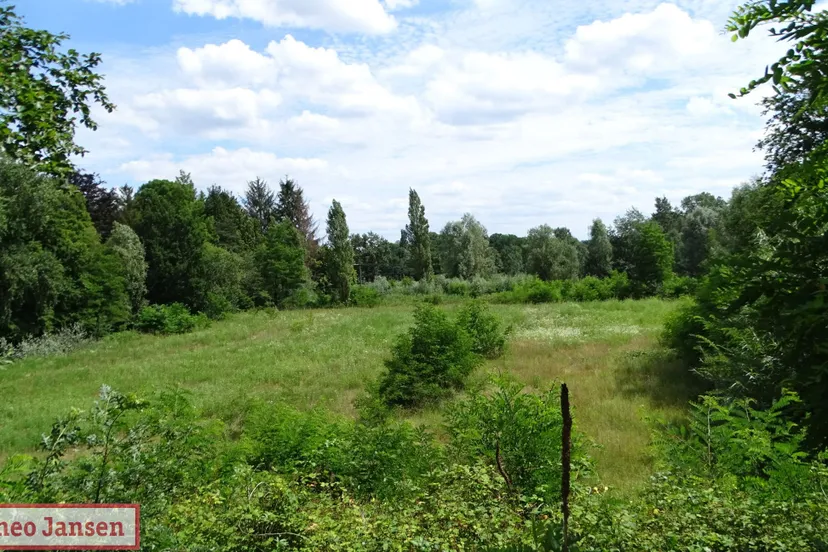 t gat van gerritsen velp rhedennieuwsnl