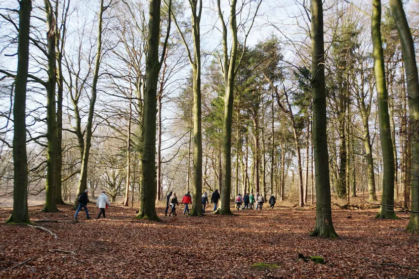 herfstverschijnselen corlene van den camp