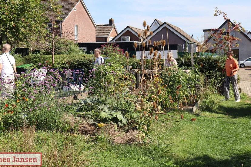 open dag in de dorpstuin rheden trekt bezoekers 07 09 2024 1