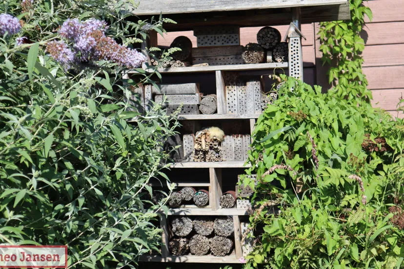 open dag in de dorpstuin rheden trekt bezoekers 07 09 2024 17