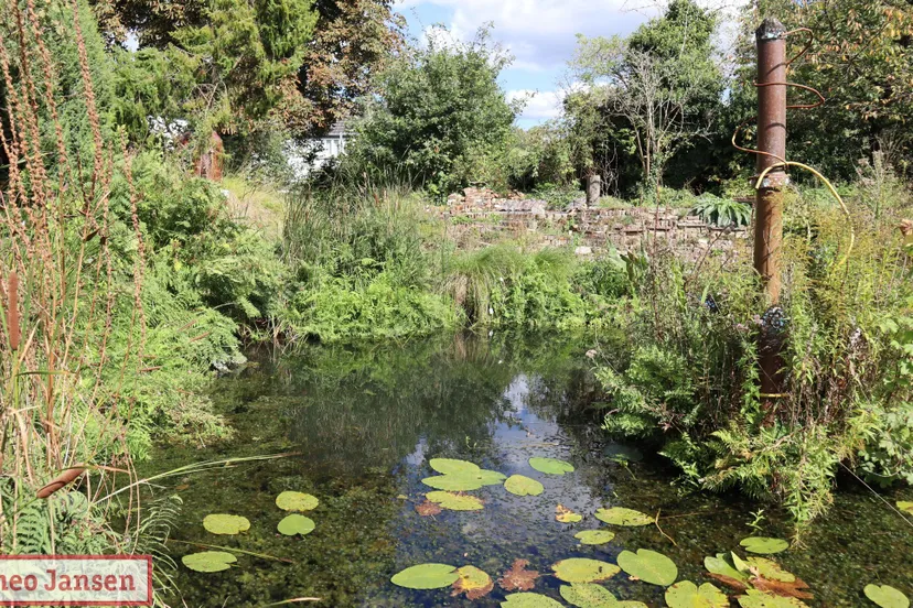 stichting de tuin van sjef viert 25 jarig jubileum met onthulling schilderij en speciale tentoonstelling 08 09 2024 19