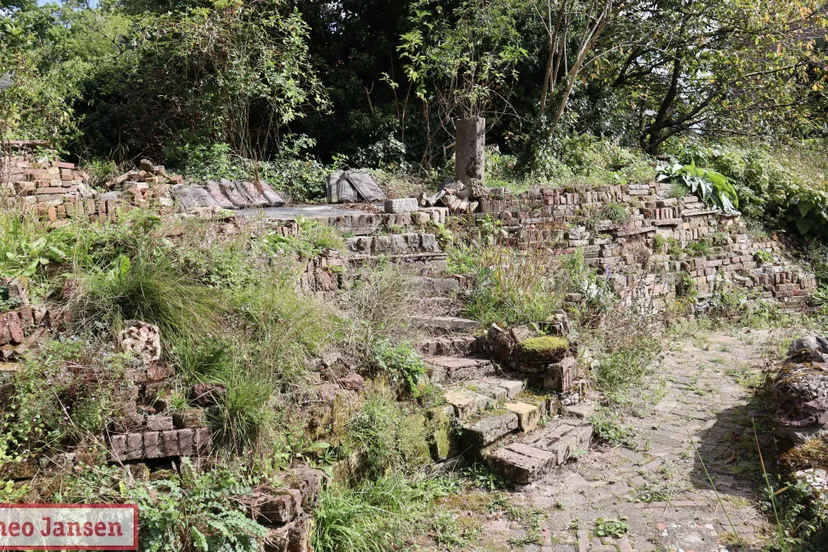 stichting de tuin van sjef viert 25 jarig jubileum met onthulling schilderij en speciale tentoonstelling 08 09 2024 23