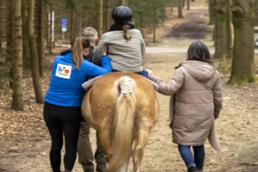 arnhemse lionsclub arentheem bio manege kids