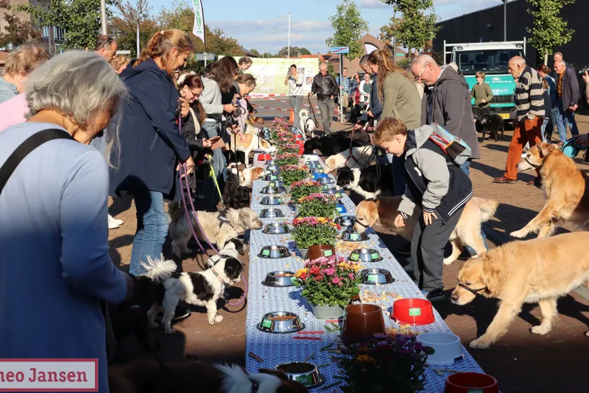 gezellig dierendagbuffet in dieren trekt weer veel baasjes en viervoeters 05 10 2024 1