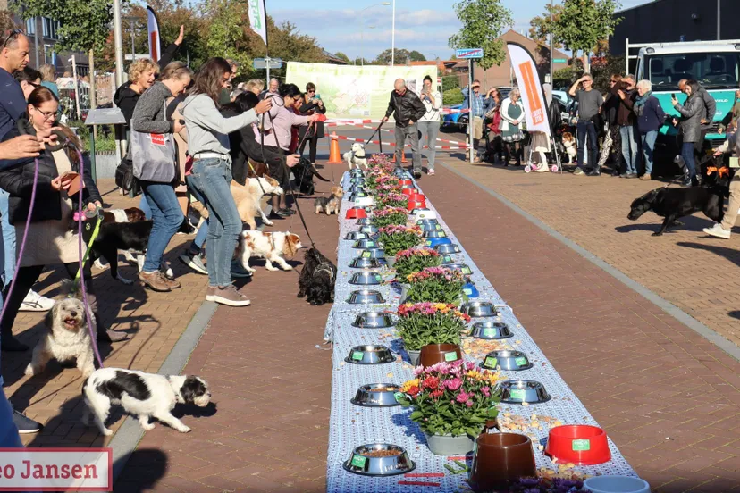 gezellig dierendagbuffet in dieren trekt weer veel baasjes en viervoeters 05 10 2024 5