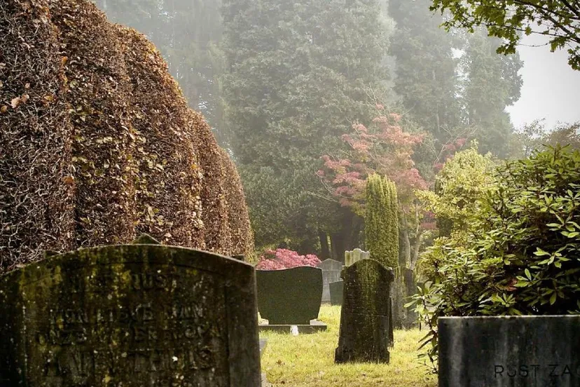 sprankellicht op de begraafplaats ellecom de steeg