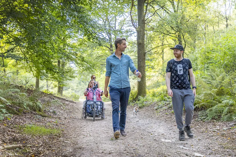 groepswandeling posbank rheden incluzio rheden