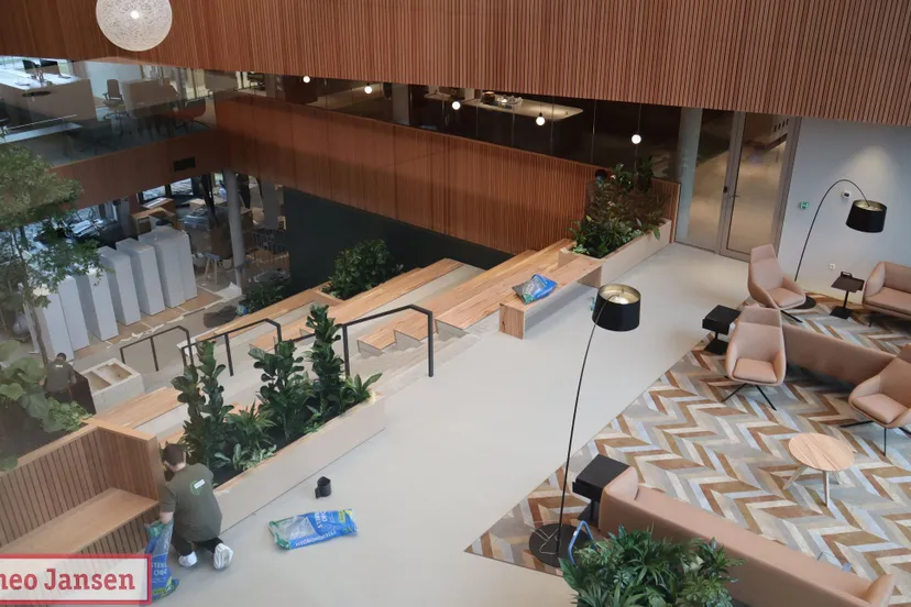 gemeentehuis gemeente rheden in de steeg bijna klaar voor gebruik 09 12 2024 20