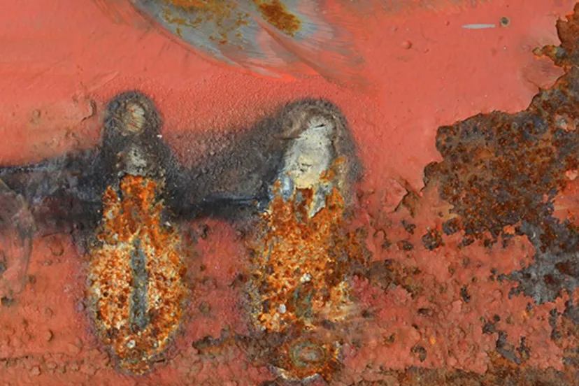 two girls in red ineke van middelkoop