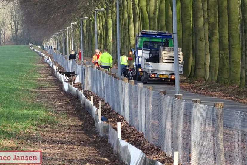 03 vrijwilligers gezocht voor paddentrek in rheden