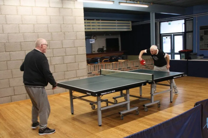 ttv slagvaardig hans willemsen