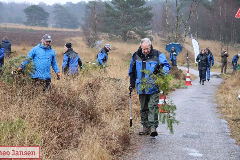 001 heidewerkdag op het rozendaalse veld met feestelijk tintje 22 02 2025
