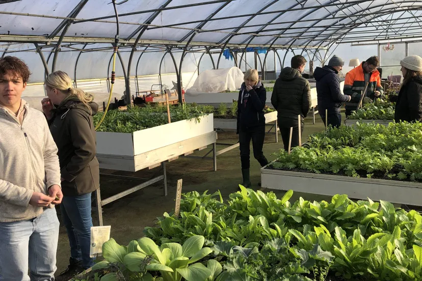 studenten biologische teelt leren in de praktijk de kneepjes van het vak taco ijzerman