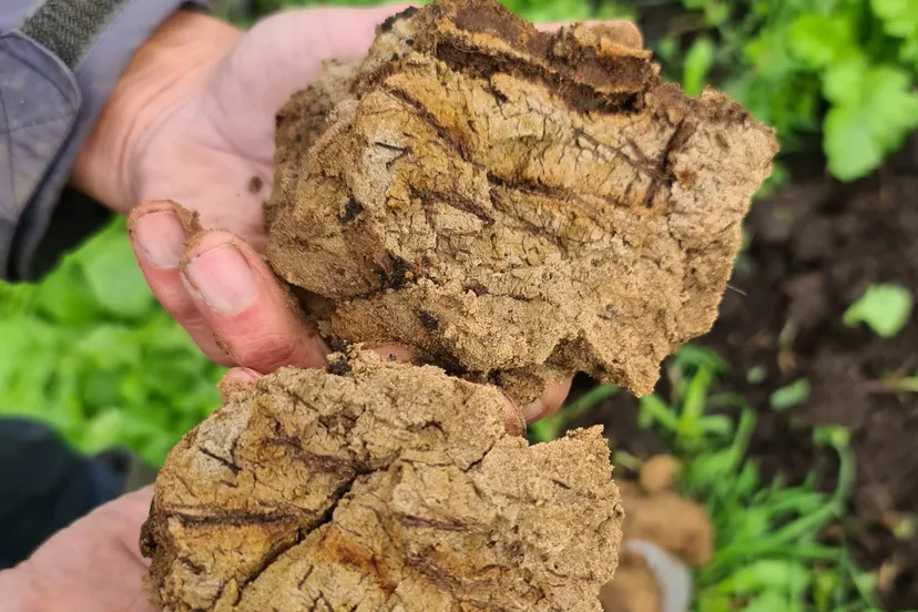 bodemkluit deltaplan agrarisch waterbeheer