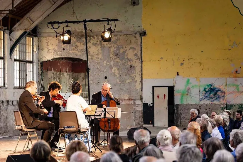 muziekfestival zoom foppe schut