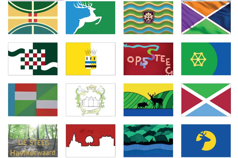 vlagverkiezing de steeg boom amp stroompng