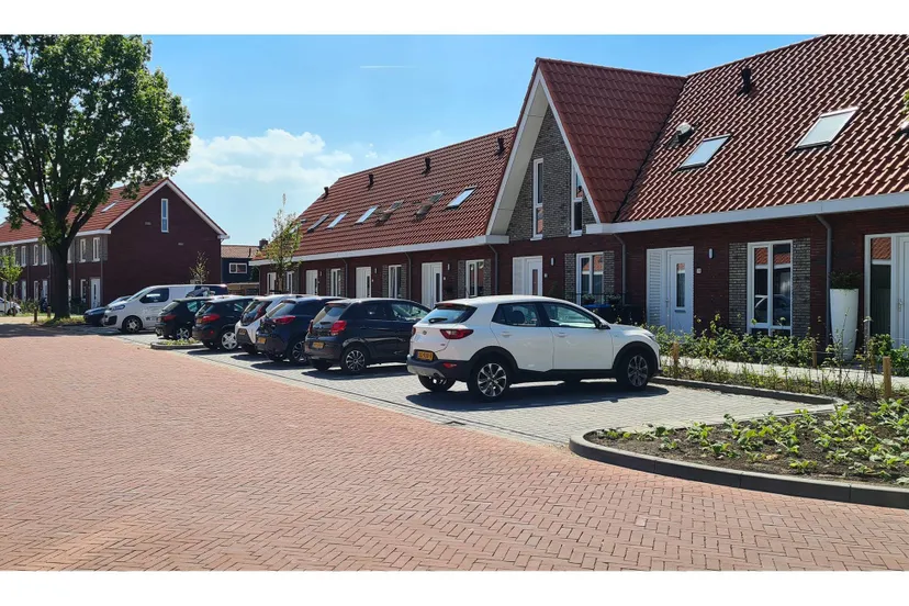 dr schaepmanstraat groen 2025