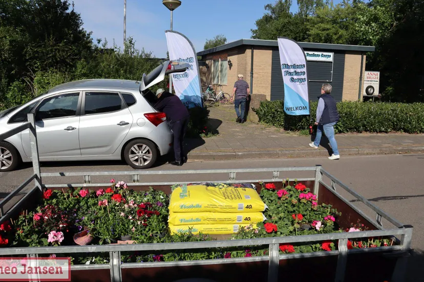 geslaagde bloemenactie van het rhedense fanfare corps 03 05 2025 1